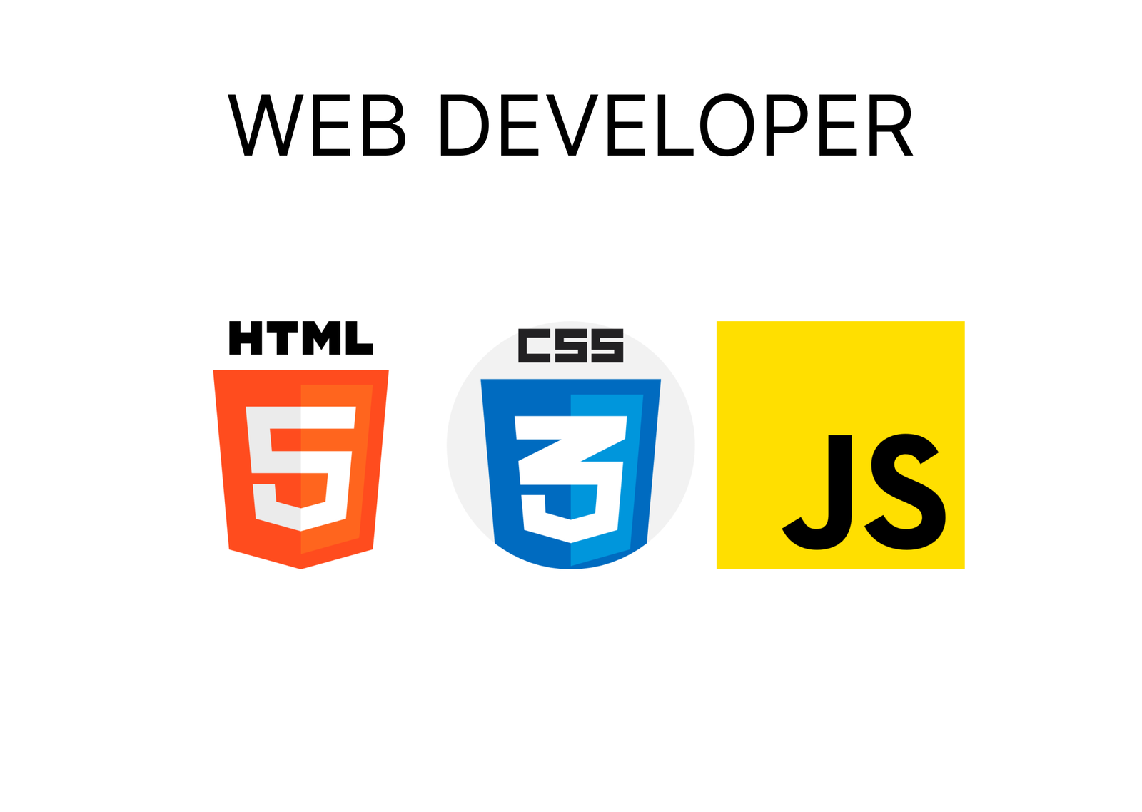 cara menjadi web developer